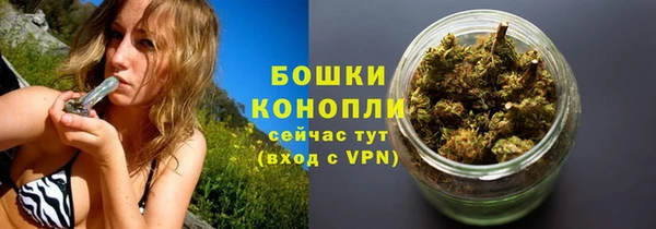 мдпв Надым