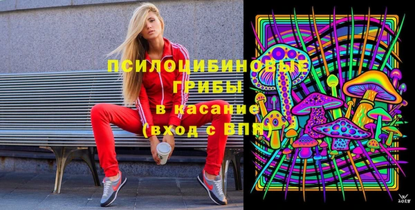 крисы Михайловка