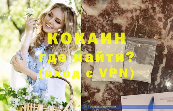 прущие грибы Нефтекумск