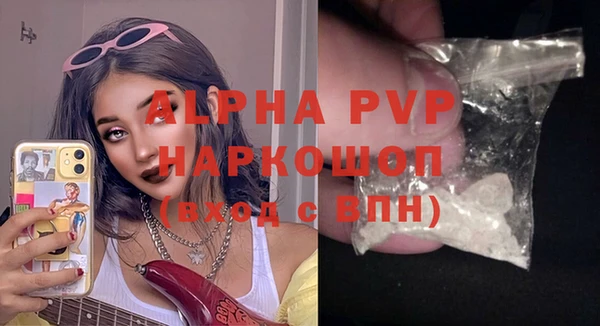 прущие грибы Нефтекумск