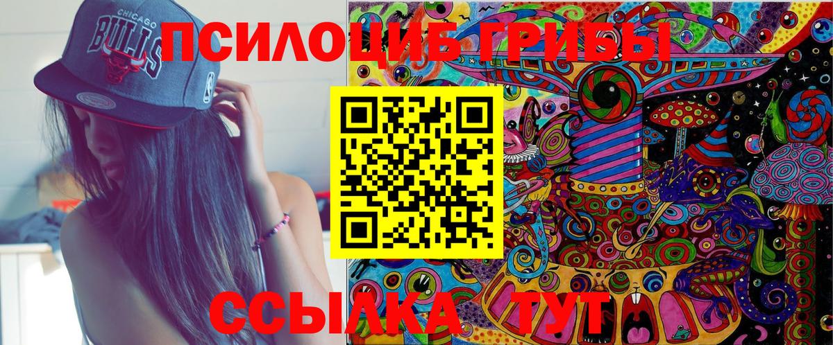 Псилоцибиновые грибы Psilocybe Ишим