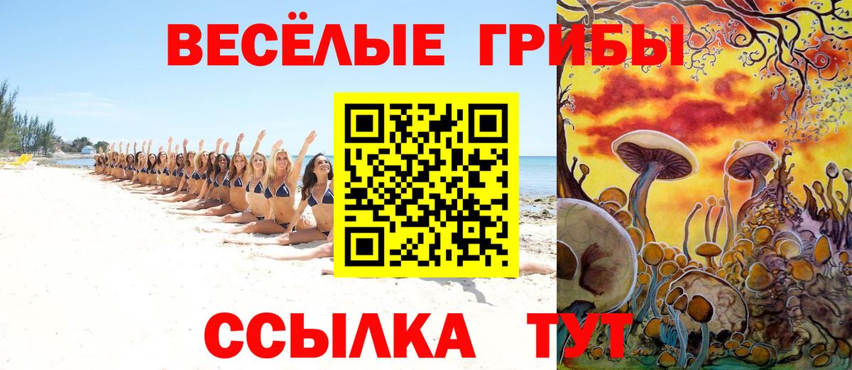 Галлюциногенные грибы ЛСД  Ишим 