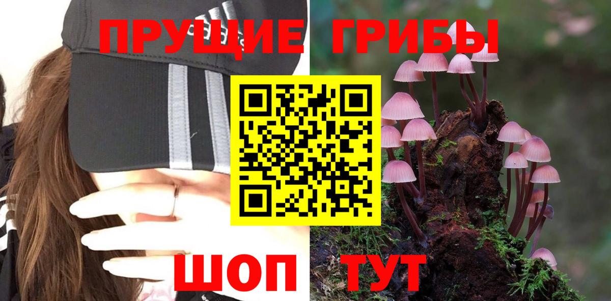 Псилоцибиновые грибы MAGIC MUSHROOMS  Вход с VPN  как найти закладки  Ишим 