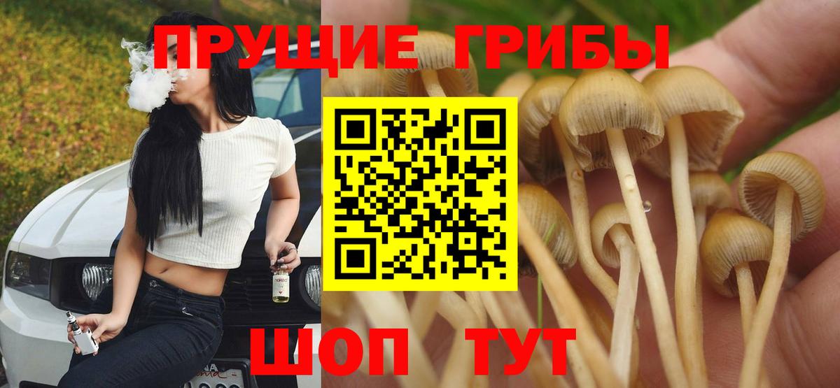 Галлюциногенные грибы мухоморы Ишим