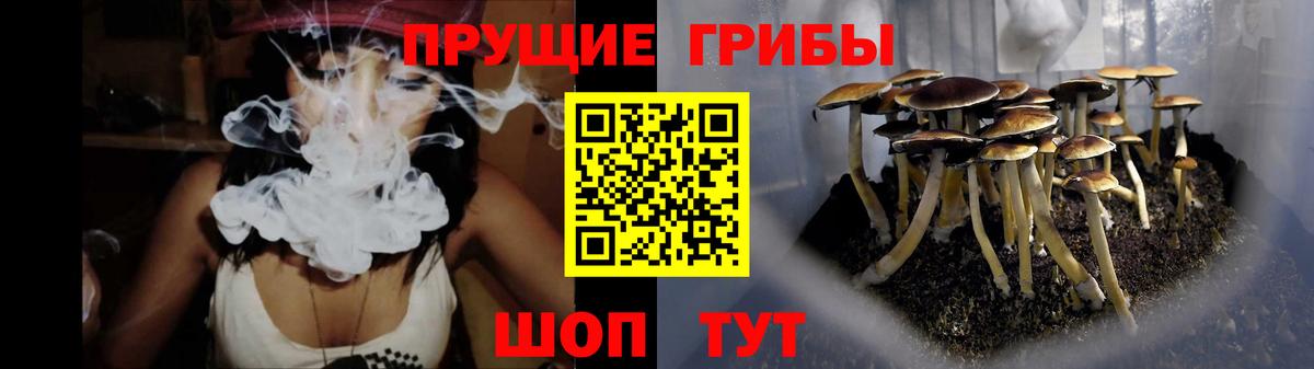 наркотики  Вход с VPN  Ишим  Псилоцибиновые грибы мицелий 